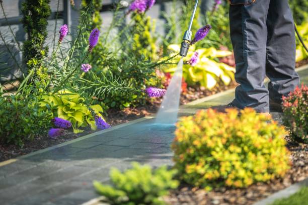 Best Roof Cleaning and Mildew Removal in North Edwards, CA